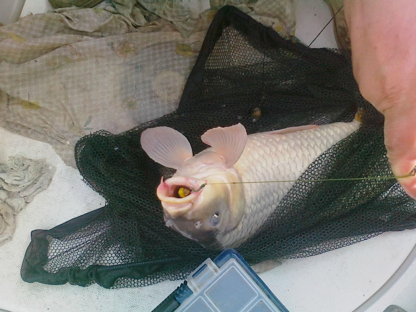 Sulina sept. 2013 - part. II